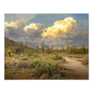 2729-Arizona Wüstenlandschaft bei Sonnenuntergang Fotodruck
