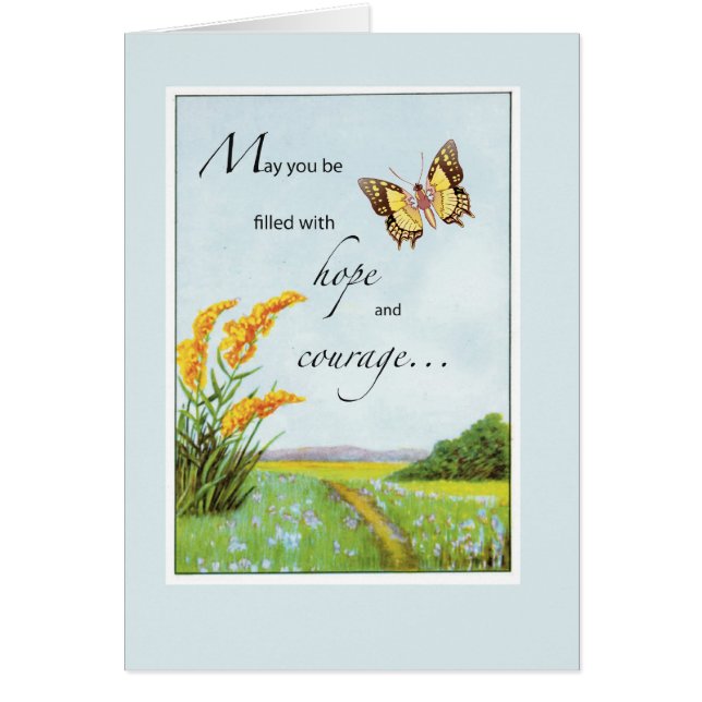 2766 Schmetterlingshope und Mut (Vorne)