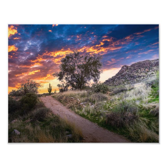 2815-Wüste Landschaft bei Sunset Fotodruck (Vorne)