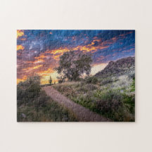 2815-Wüste Landschaft mit Saguaro bei Sonnenunterg
