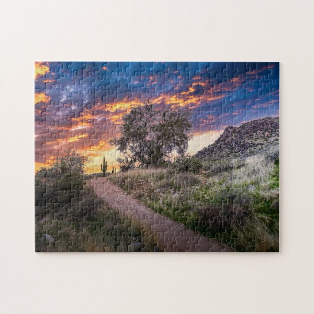 2815-Wüste Landschaft mit Saguaro bei Sonnenunterg (Horizontal)