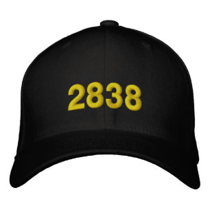 2838 BESTICKTE BASEBALLKAPPE