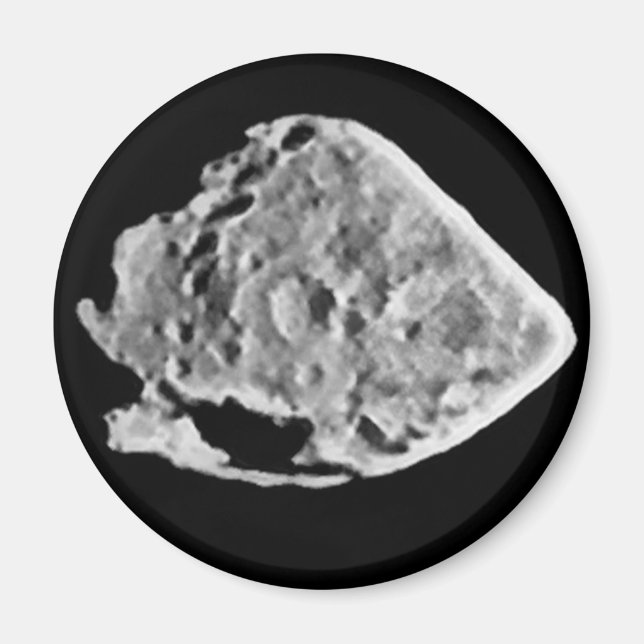 2867 Steine (1969 VC) Magnet (Vorne)