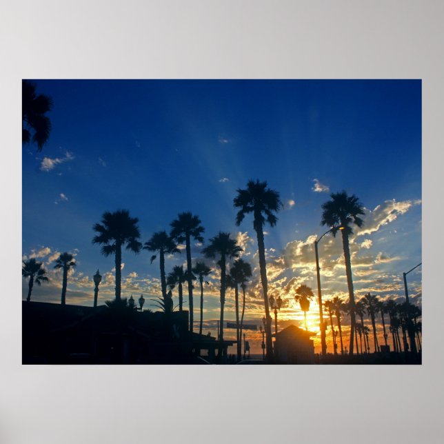 28" x 20", Value Poster Paper (Matte) (Vorne)