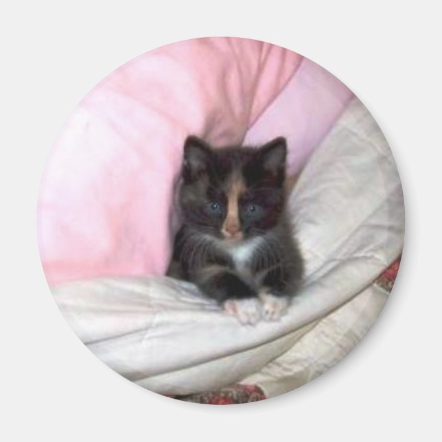 29154_Muffin-the-Cat_620 Magnet (Vorne)