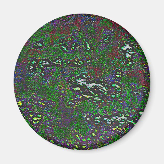 29 MAGNET (Vorne)