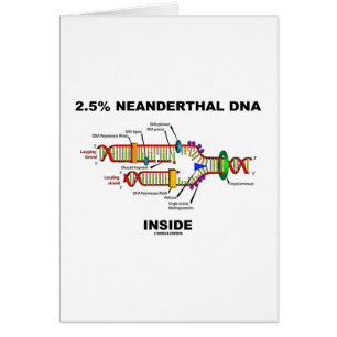 2,5% Intérieur d'ADN de Neanderthal (reproduction
