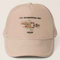 2,5 % Neandertaler DNA-Inside (DNA-Replikation)