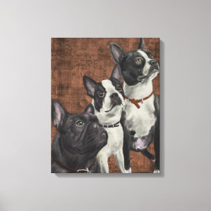 2 Boston-Terrier und französische Bulldogge Leinwanddruck