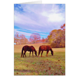 2 Braune Pferde in einem farbigen Feld