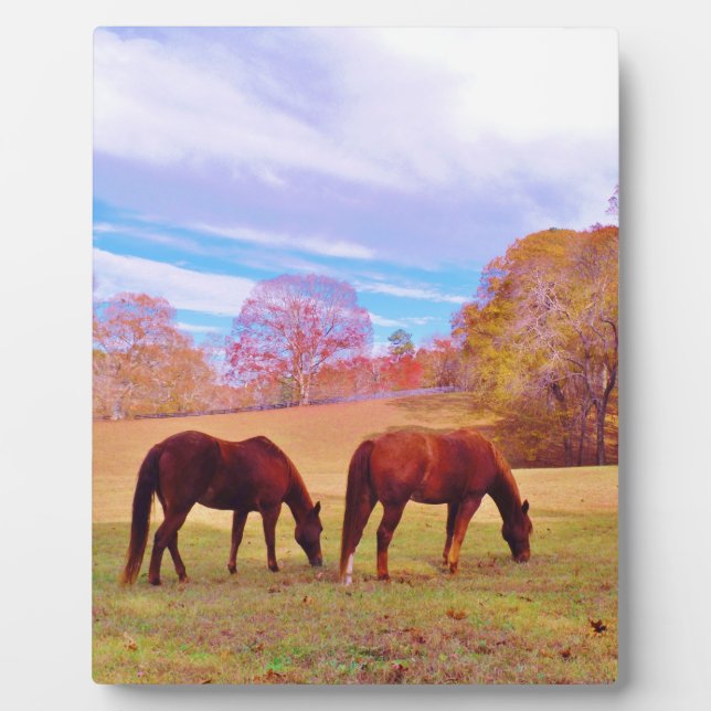 2 Braune Pferde in einem farbigen Feld Fotoplatte (Vorderseite)