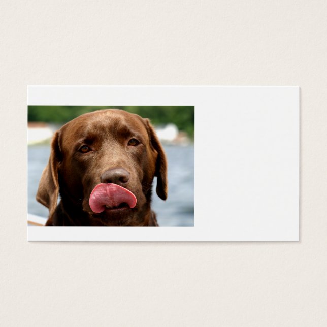 2 Chocolat_Lab.png (Devant)