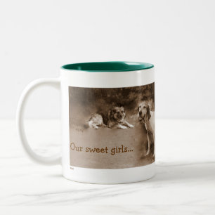 2 Couleurs ABBY et TASSE d'ELLIE