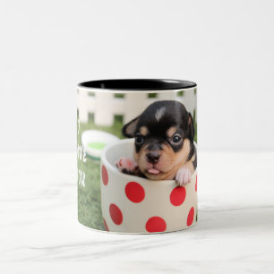 2 Couleurs Chien mignon dans la tasse