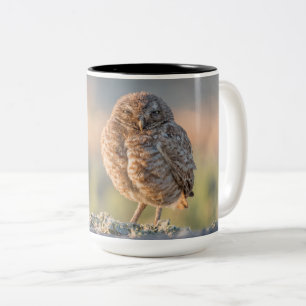 2 Couleurs Creuser la grande tasse de hibou