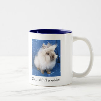 2 Couleurs Double tasse de Lionhead