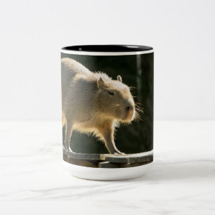 2 Couleurs Grande tasse de Capybara
