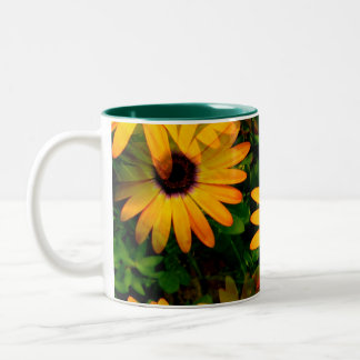 2 Couleurs La marguerite orange aiment la grande tasse