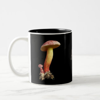 2 Couleurs La tasse de l'amant de champignon