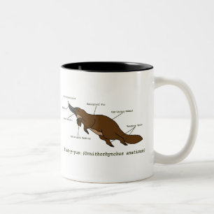 2 Couleurs La tasse extraordinaire d'ornithorynque