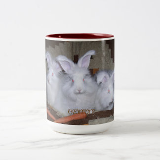 2 COULEURS LAPINS ANGORAS ALLEMANDS CAFÉ ET TASSE DE CACAO
