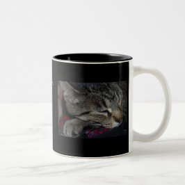 2 Couleurs Mes enfants tous ont des pattes ! Tasse de chat