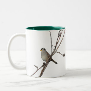 2 Couleurs Moineau sur une tasse de branche