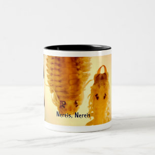 2 Couleurs Nereis, tasse de Nereis
