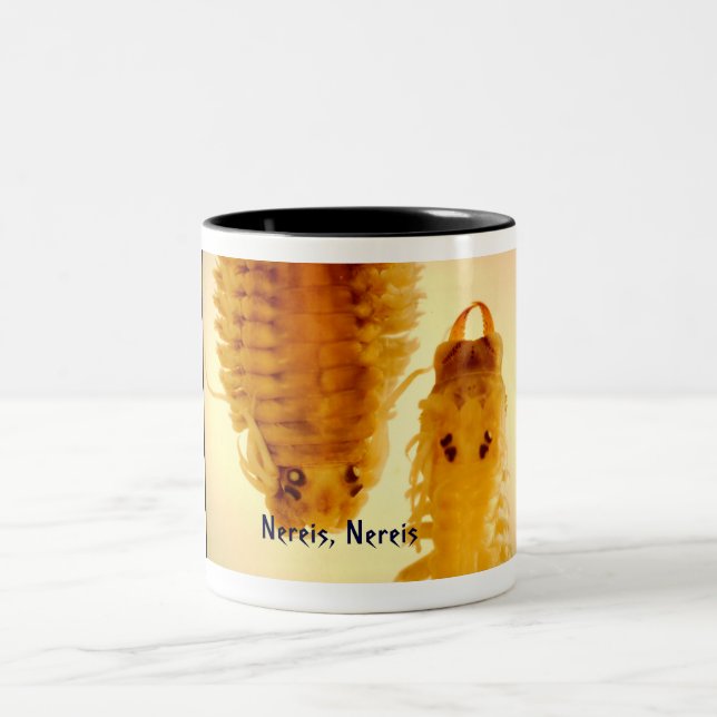 2 Couleurs Nereis, tasse de Nereis (Centre)