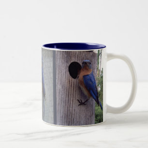 2 Couleurs Oiseaux bleus sur la tasse de boîte