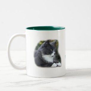 2 Couleurs Personnaliser de tasse de chat de chaussettes