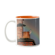 Pigeon sur le pot avec la tasse d'arc-en-ciel