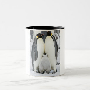 2 Couleurs Pingouins d'empereur avec le poussin - tasse