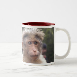 2 Couleurs Singe regardant la tasse