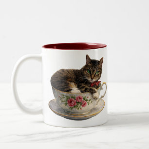2 Couleurs Tabby dans une tasse de thé