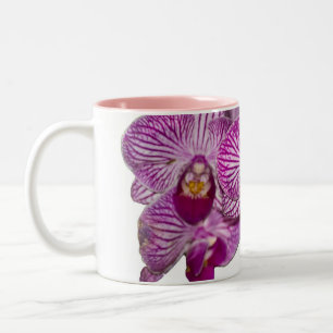 2 Couleurs Tasse #10 de fleur