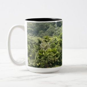 2 Couleurs Tasse à café de la forêt tropicale de Meemure Sri 