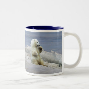 2 Couleurs Tasse à café Ourson polaire mignon & glace arctiqu