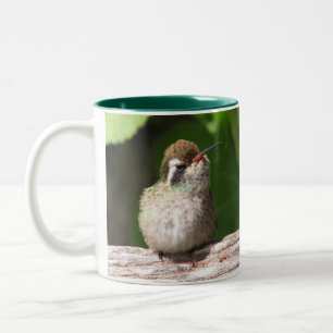 2 Couleurs tasse Blanc-à oreilles de colibri,