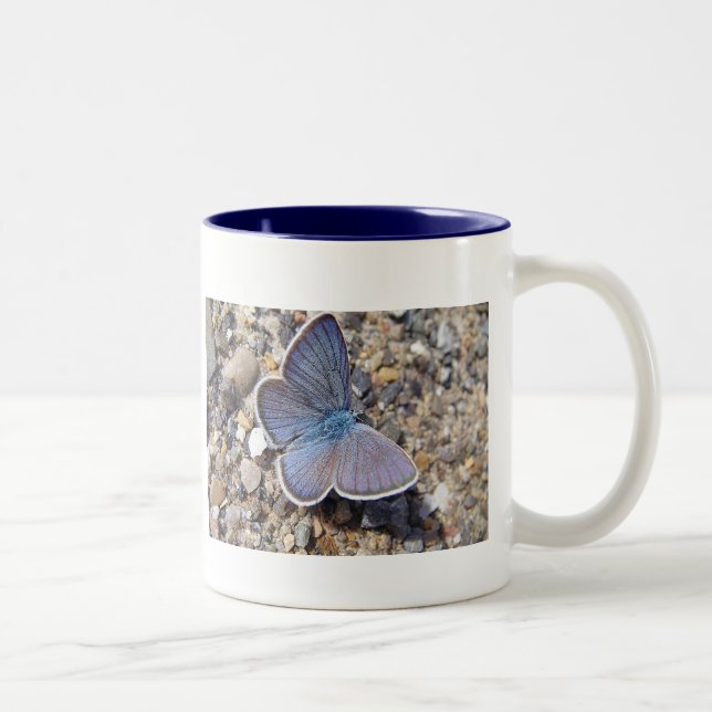 2 Couleurs Tasse blauer Schmetterling (Droit)