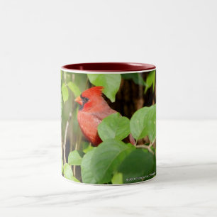 2 Couleurs tasse cardinale