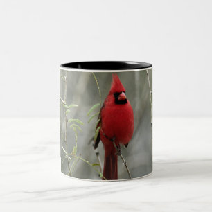 2 Couleurs Tasse cardinale magnifique de photo