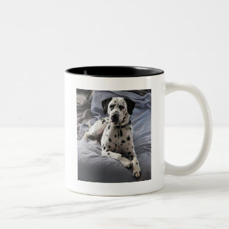 2 Couleurs Tasse de café
