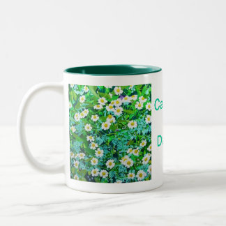 2 Couleurs Tasse de café