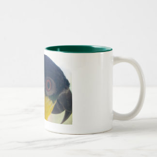 2 Couleurs Tasse de caïque