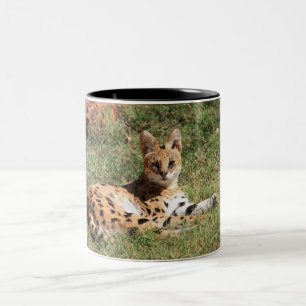 2 Couleurs Tasse de chat de Serval