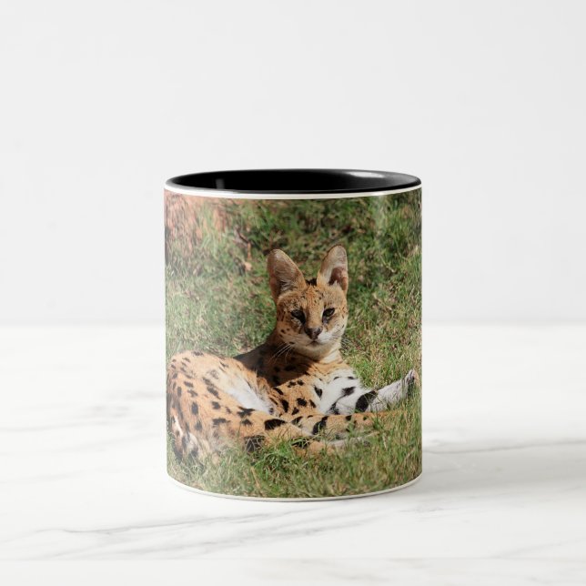 2 Couleurs Tasse de chat de Serval (Centre)