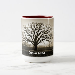 2 Couleurs Tasse de chêne de bureau de champion