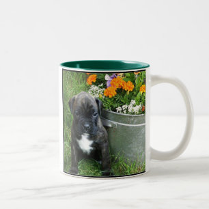 2 Couleurs Tasse de chiot de boxeur