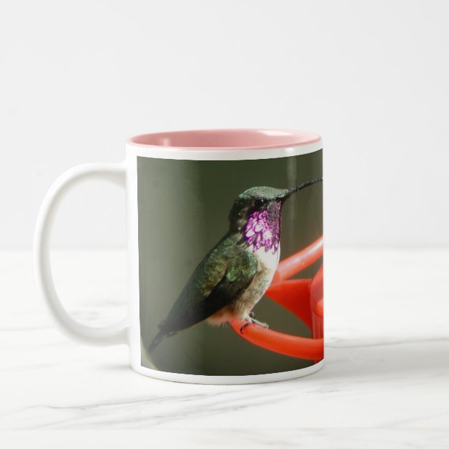 2 Couleurs Tasse de colibri de Lucifer, gauche-manipulée (Gauche)